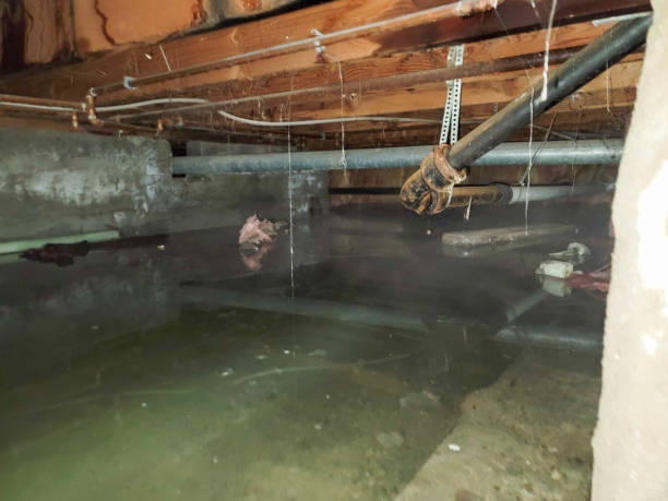 Best Residential water damage restoration  in Newport Beach, CA
