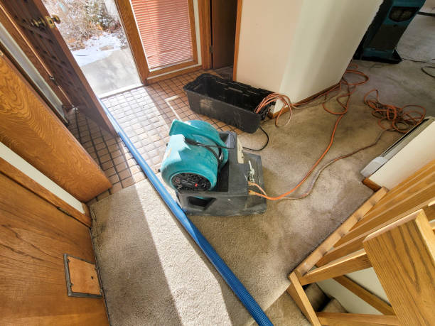 Best Water damage restoration near me  in Newport Beach, CA