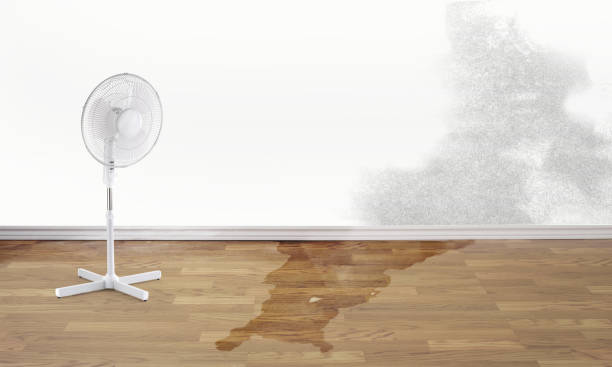 24/7 water damage repair in Newport Beach, CA