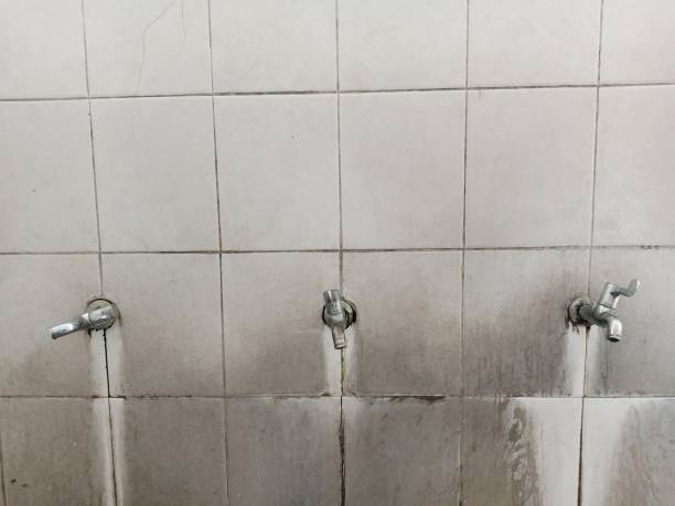 Best Water damage cleanup near me  in Newport Beach, CA