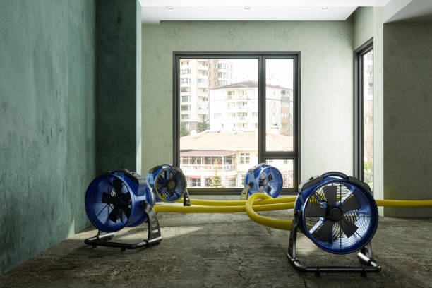 Best Commercial water damage restoration  in Newport Beach, CA